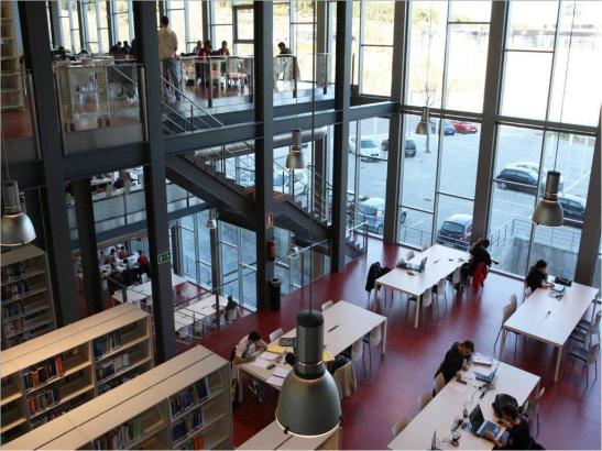 Biblioteca Campus Sur - interior