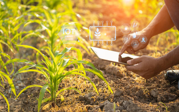 Manos cogen una tablet en una plantación