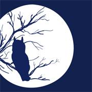 noche de los investigadores